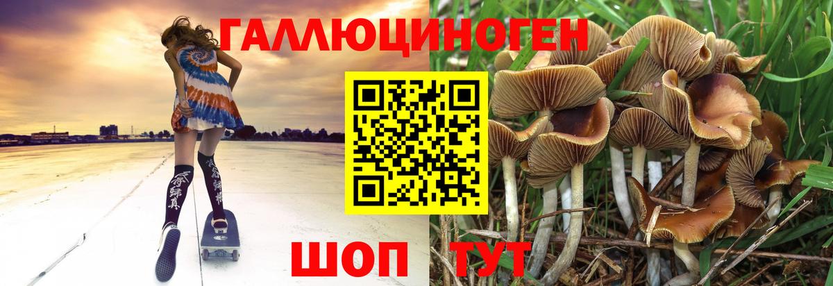 Черняховск  Псилоцибиновые грибы мицелий  Вход с VPN 