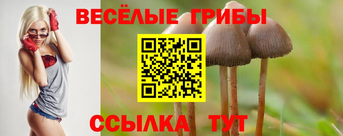 Галлюциногенные грибы прущие грибы Черняховск